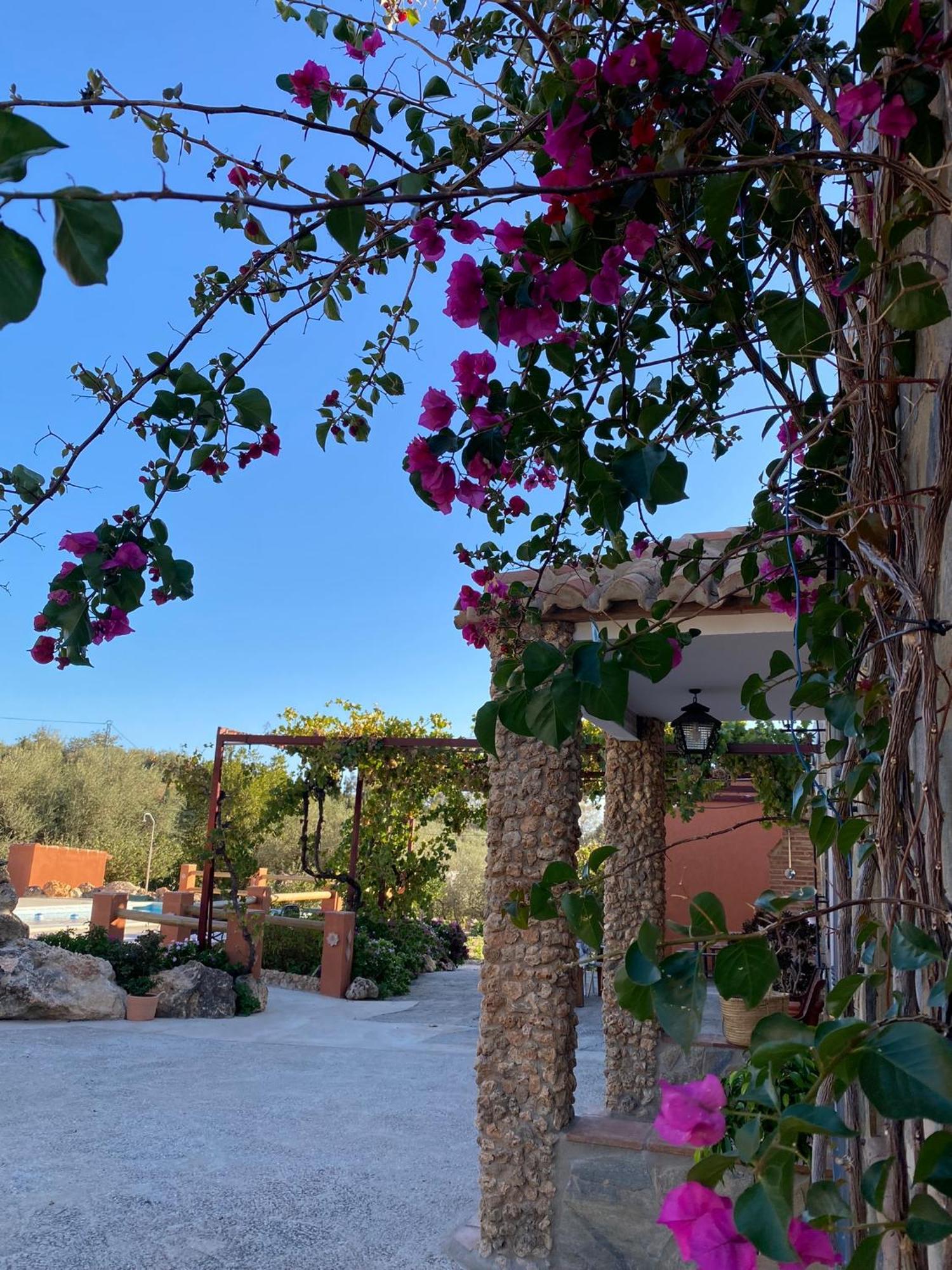 Casa Rural Antonio Y Esperanza Periana Ngoại thất bức ảnh