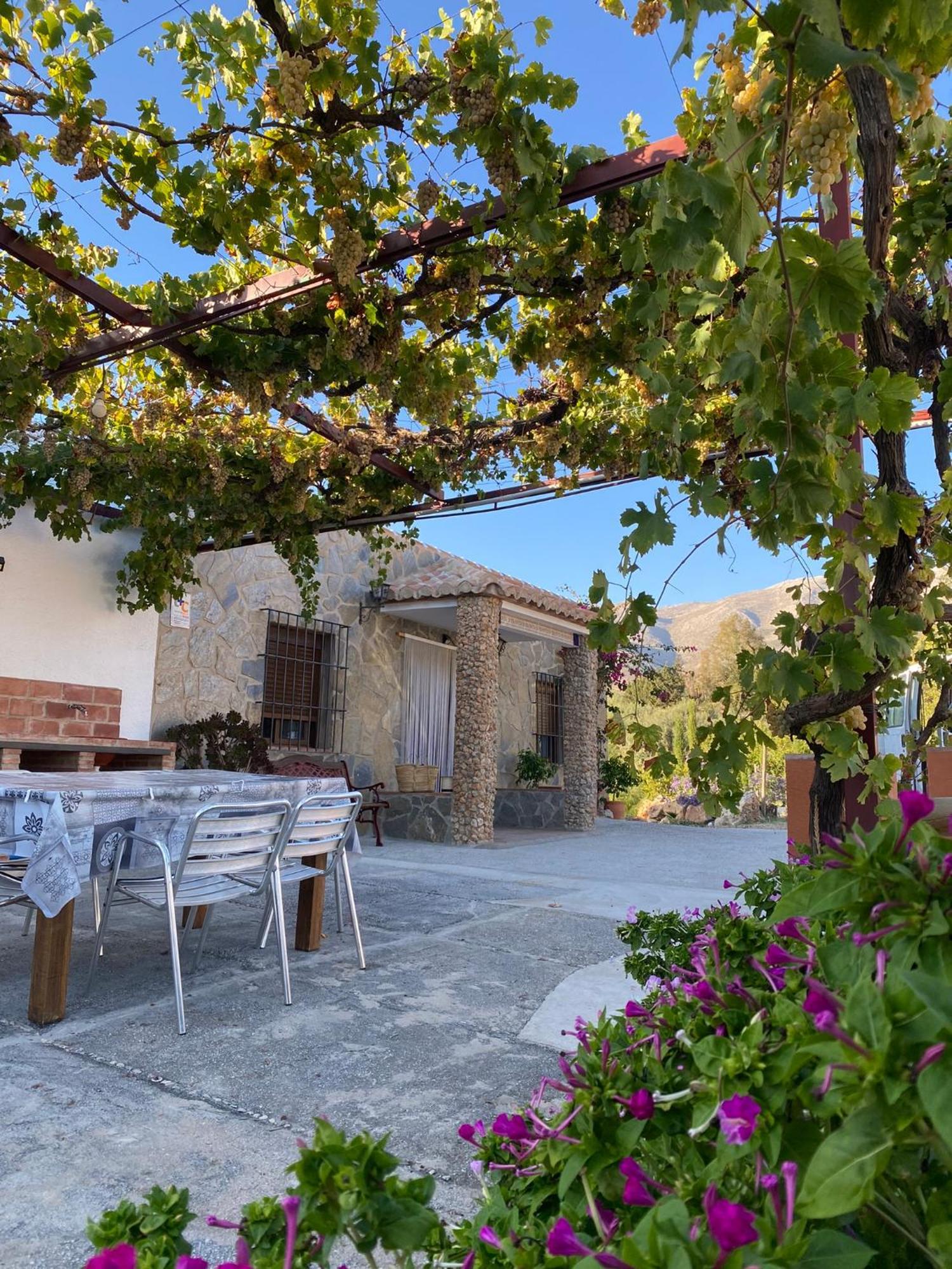 Casa Rural Antonio Y Esperanza Periana Ngoại thất bức ảnh